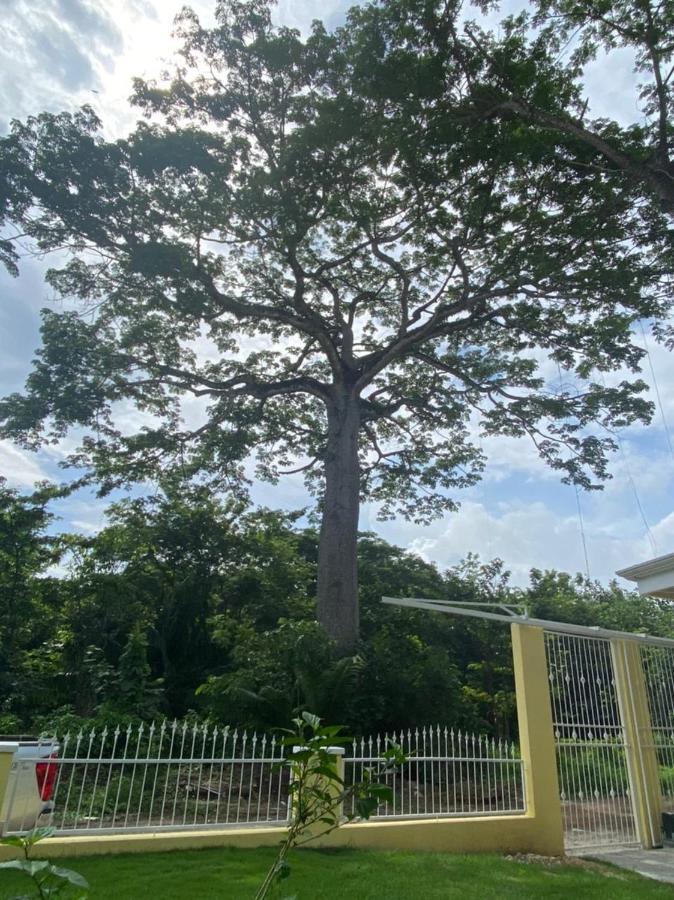 Peaceful And Beautiful Casa Almita Bonita Villa ซามารา ภายนอก รูปภาพ